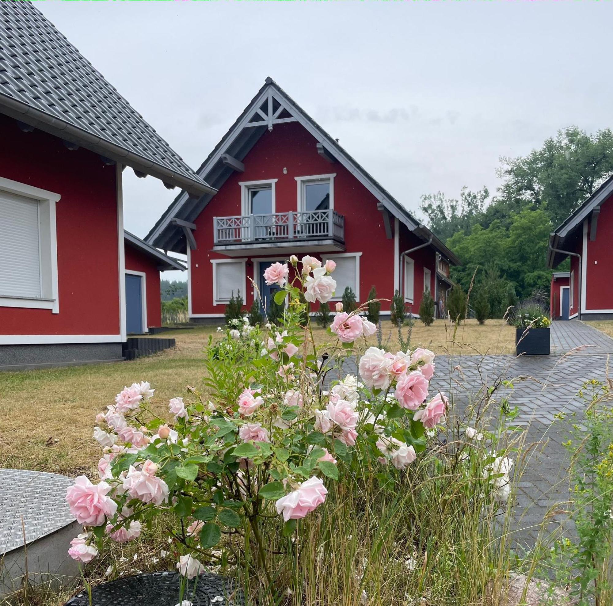 Urlaub Am Plaetlinsee Haus Rike Wustrow  Екстер'єр фото